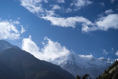 Himalaya dağları, Nepal 'deki arka planda ağaçlar ve karlı zirveler