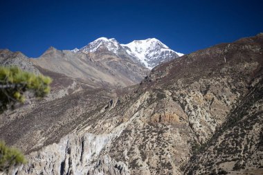 Himalaya Yatra Yantra.lv