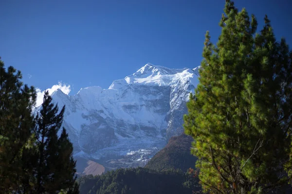 Bäume und schneebedeckter Gipfel im Hintergrund im Himalaya-Gebirge, Nepal — Stockfoto