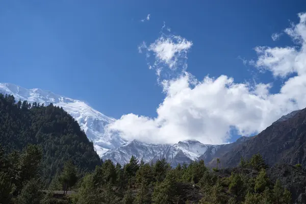 Szczyt i lasu w Himalajach, Annapurna regionu, Nepal — Zdjęcie stockowe
