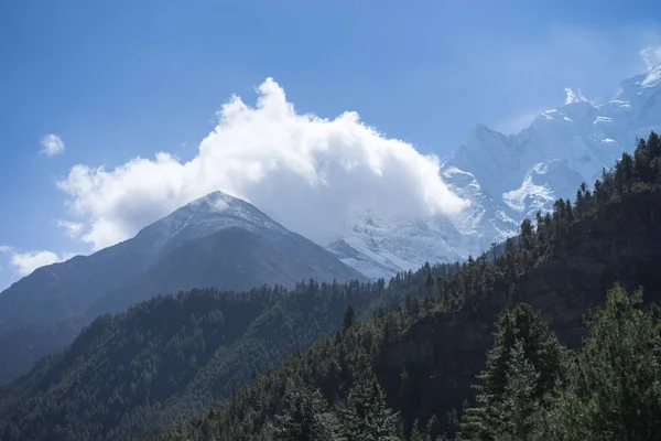 Pico y bosque en las montañas del Himalaya, región de Annapurna, Nepal —  Fotos de Stock