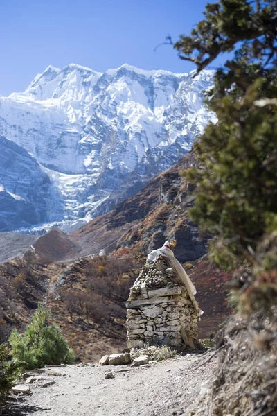 Pico coberto de neve e floresta nas montanhas do Himalaia, região de Annapurna, Nepal — Fotografia de Stock