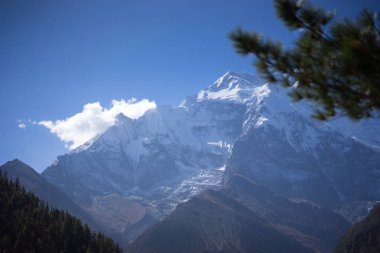 Tepe ve ağaçlar Himalaya dağlarında Annapurna bölge, Nepal