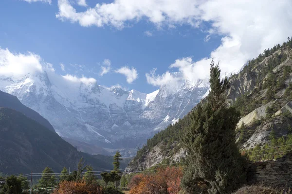 Árboles y pico nevado en el fondo en las montañas del Himalaya, Nepal —  Fotos de Stock