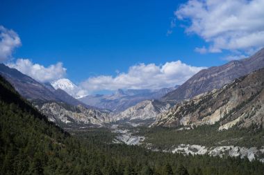 Tepe ve orman Himalaya dağlarında Annapurna bölge, Nepal