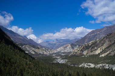 Vadi ve orman Himalaya dağlarında Annapurna bölge, Nepal