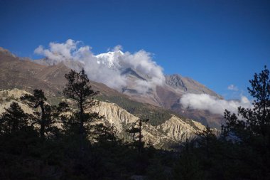 Himalaya dağları, Nepal 'deki arka planda ağaçlar ve karlı zirveler