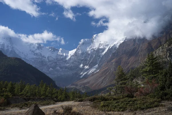 Pico e Floresta nas montanhas do Himalaia, região de Annapurna, Nepal — Fotografia de Stock