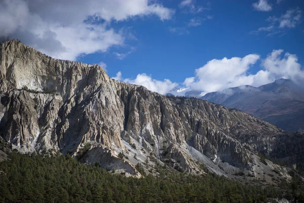 Árvores e penhascos ao fundo nas montanhas do Himalaia, Nepal — Fotografia de Stock