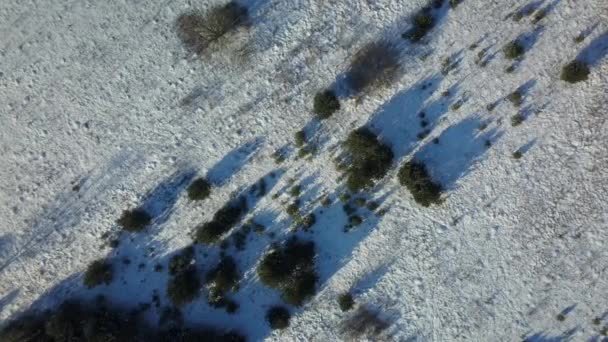 Vista aérea del bosque congelado de invierno cubierto de nieve — Vídeos de Stock