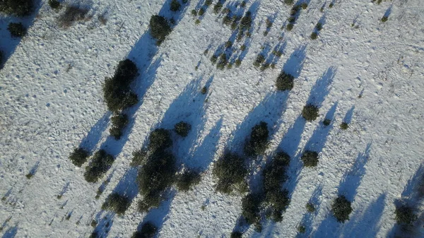 눈에 덮여 겨울 숲 냉동의 항공 보기 — 스톡 사진