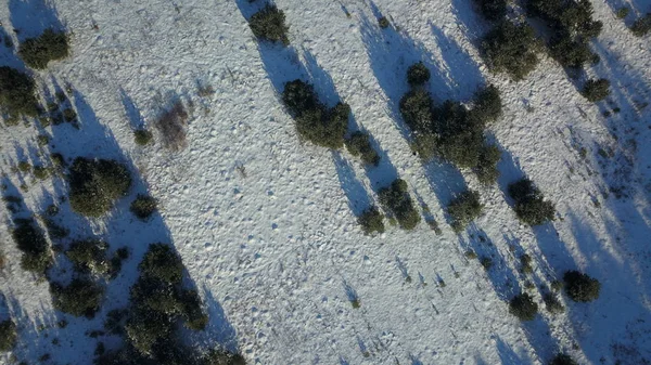 눈에 덮여 겨울 숲 냉동의 항공 보기 — 스톡 사진