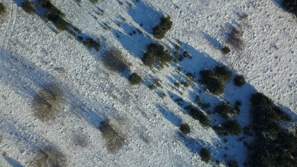 Luftaufnahme des gefrorenen Winterwaldes mit Schnee bedeckt — Stockfoto