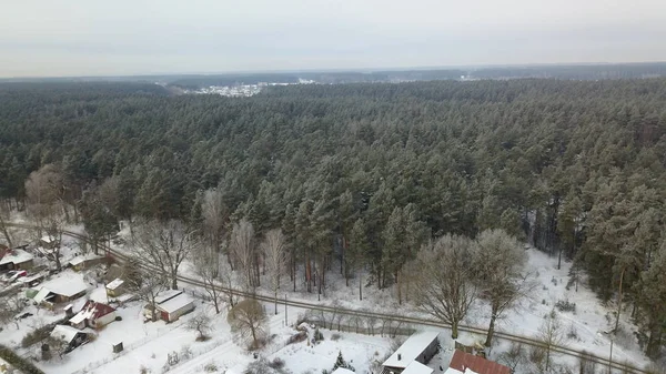 A légi felvétel a téli erdő fagyasztott fedezi a hó — Stock Fotó