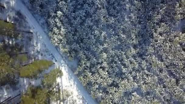 A légi felvétel a téli erdő fagyasztott fedezi a hó — Stock videók