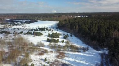 Orman donmuş kış hava görünümünü karla kaplı