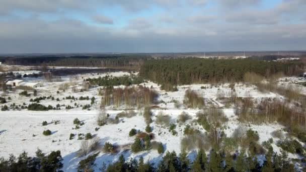 Vue aérienne de la forêt gelée hivernale couverte de neige 