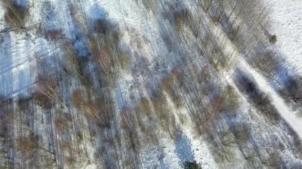 Aerial view of winter frozen forest covered in snow — Stock Video