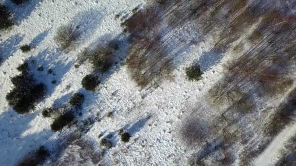 눈에 덮여 겨울 숲 냉동의 항공 보기 — 비디오