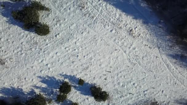 Вид з повітря на зимовий заморожений ліс, вкритий снігом — стокове відео