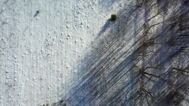 Vue aérienne de la forêt gelée hivernale couverte de neige 