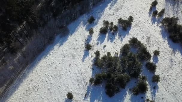 Flygfoto över vintern fryst skog täckt av snö — Stockvideo