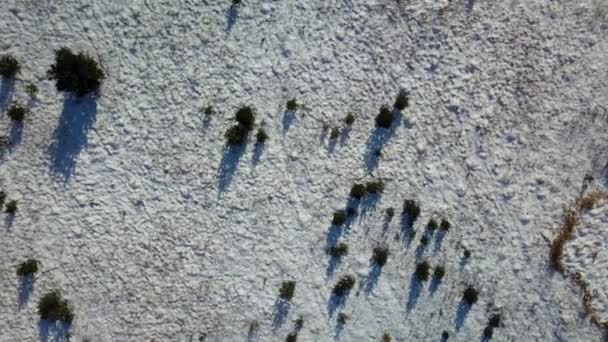 Vista aérea del bosque congelado de invierno cubierto de nieve — Vídeo de stock