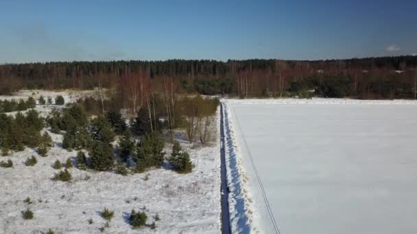Вид с воздуха на замерзший зимний лес, покрытый снегом — стоковое видео