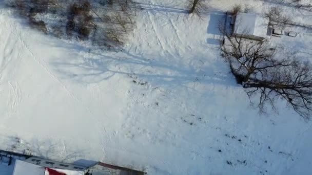 Aerial view of winter frozen forest covered in snow — Stock Video