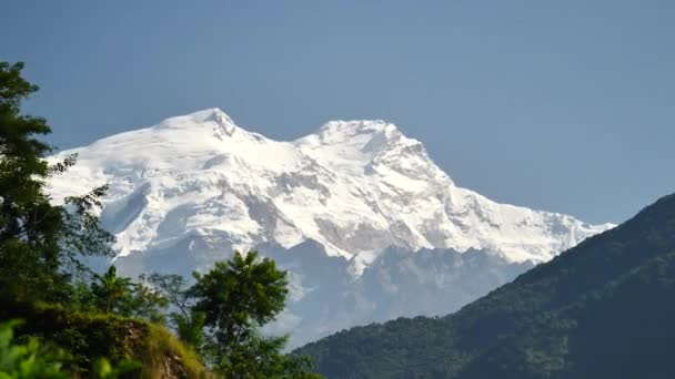 Árvores e picos cobertos de neve no fundo nas montanhas do Himalaia, Nepal — Vídeo de Stock