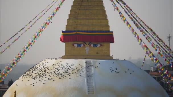 Bodhnath Stupa en Nepal — Vídeo de stock