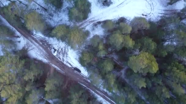 Vista aérea del bosque congelado de invierno cubierto de nieve — Vídeos de Stock