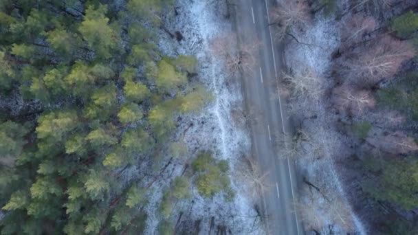 Εναέρια άποψη του χειμώνα παγωμένο δάσος καλυμμένο με χιόνι — Αρχείο Βίντεο