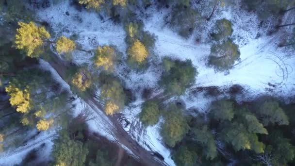 Vue aérienne de la forêt gelée hivernale couverte de neige — Video