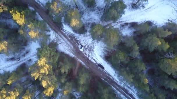 Вид з повітря на зимовий заморожений ліс, вкритий снігом — стокове відео