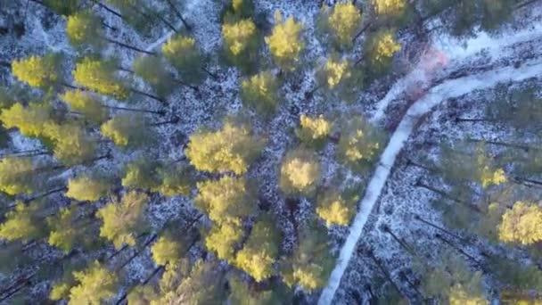 冰雪覆盖的冬季冰冻森林鸟瞰图 — 图库视频影像