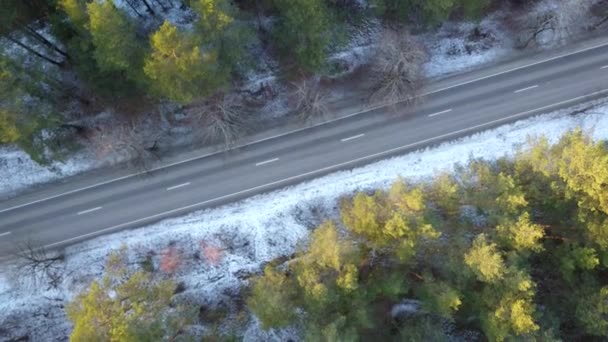 Vue aérienne de la forêt gelée hivernale couverte de neige — Video