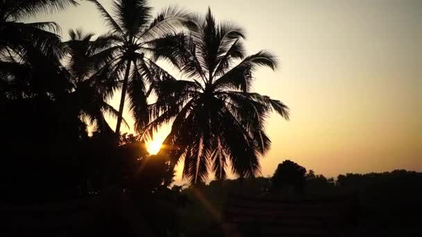 Palmy i pomarańczowy zachód słońca nad ocean — Wideo stockowe