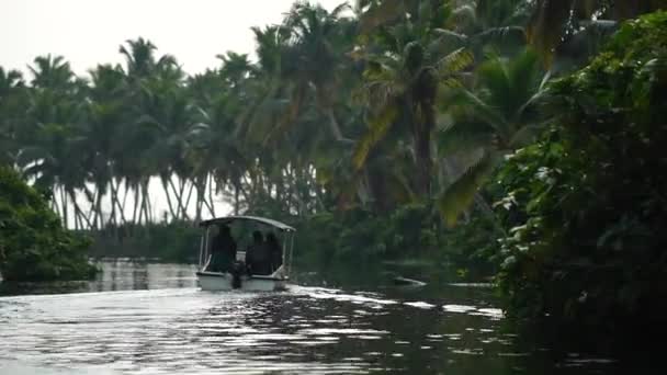 Boat and Palm tree backwater in India Timelapse — Stock Video