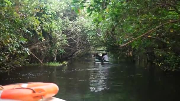 Csónak és pálmafa backwater Indiában Timelapse — Stock videók