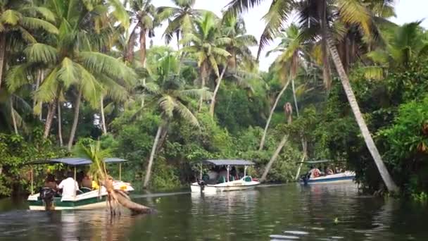 Boat and Palm tree backwater in India Timelapse — Stock Video