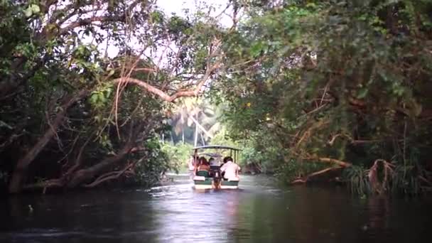 Boat and Palm tree backwater in India Timelapse — Stock Video