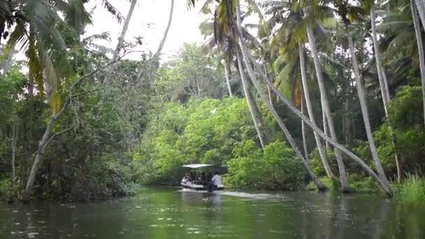 Bateau et palmier backwater en Inde Timelapse — Video