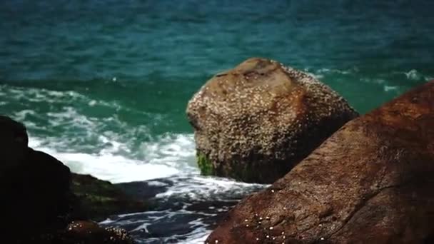 Costa del océano con olas y rocas — Vídeo de stock