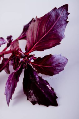 Kiraz ve beyaz kelepçe ile ipi