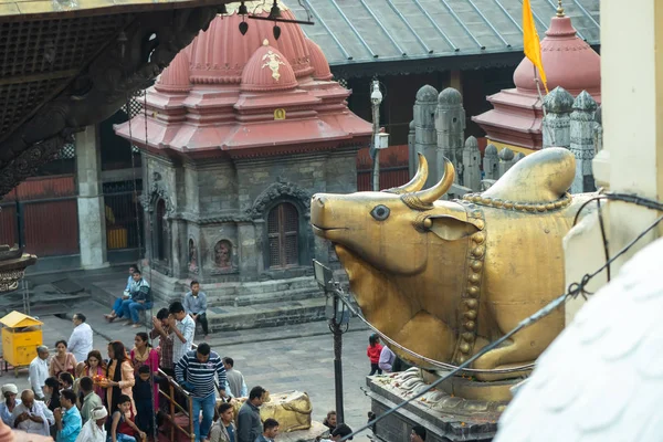 Complexe hindouiste pour Shiva Dieu avec statue de taureau Nandi dorée — Photo