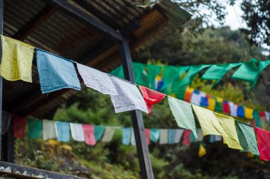 Kaplan Yuvası Bhutan Manastırı 'nın güzel bir geçmişi var.