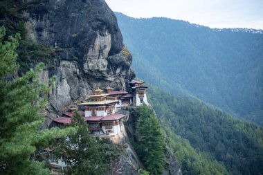 Kaplan Yuvası Bhutan Manastırı 'nın güzel bir geçmişi var.