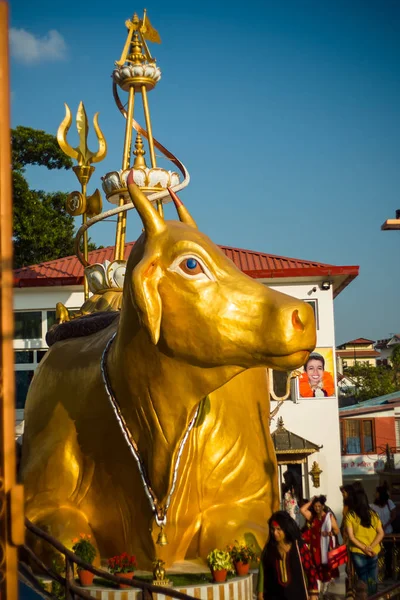 具有金色南迪公牛雕像的湿婆神印度教建筑群 — 图库照片