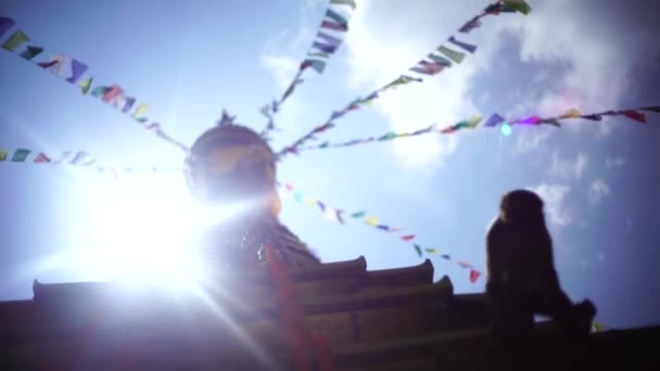 Swayambhunath stupa Eye Buddha in Kathmandu Νεπάλ Βίντεο 4k — Αρχείο Βίντεο